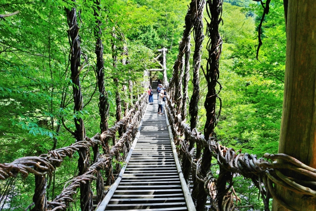 徳島県祖谷のかずら橋