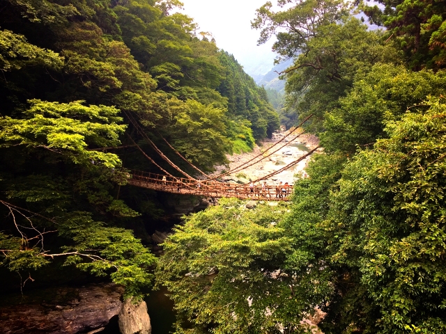 徳島県祖谷のかずら橋